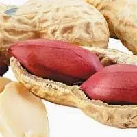 Raw Peanuts