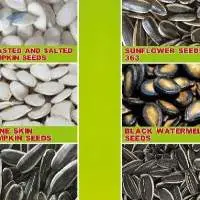 Sunflower Kernels