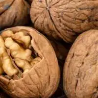 Walnuts For Sale