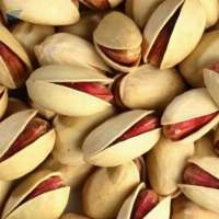 Pistachio Nuts For Sale