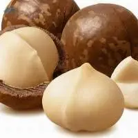 Macadamia Nuts For Sale