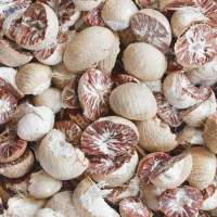 Betel Nuts For Sale