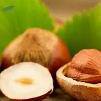 Hazelnuts For Sale