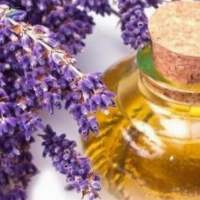 Lavender Oil