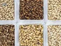 Barley Malt