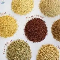 Millet