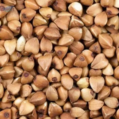 Buckwheat Seed