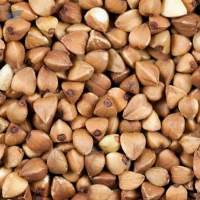 Buckwheat