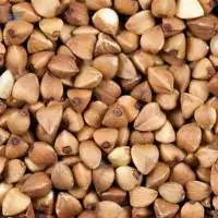 Buckwheat