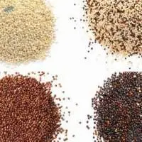 Quinoa