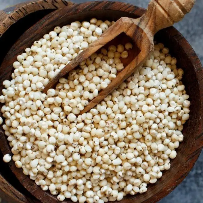 Sorghum