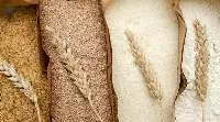 Wheat Bran Flour