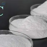 Ethyl Cellulose