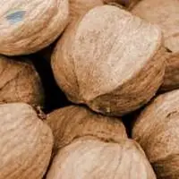 Hickory Nuts 