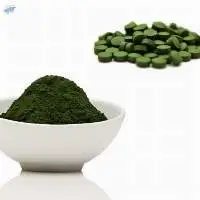 Spirulina Powder P 
