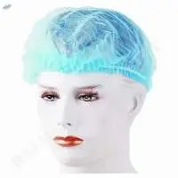 Hair Net