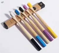 Bamboo Toothbrushes
