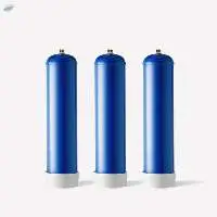 Customized Cream Chargers 580g N2O gas
