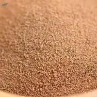 Coffee Robusta Instant Coffee Powder  