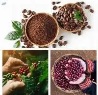 Instant Coffee Good Price For Food Industry