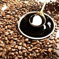 Best Price Extract Coffee Liquid