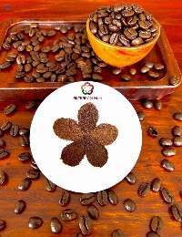 Spray Dried Instant Coffee Powder