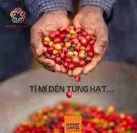 Coffee Beans - Medium Roasted