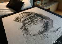 King Size Bed Sheet - Expressions