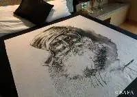 King Size Bed Sheet - Expressions