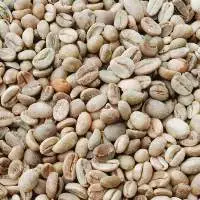 Arabica Green Coffee Bean Grade 2