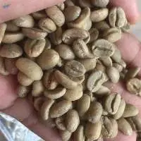 Arabica Green Coffee Bean Random / Mix