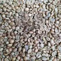 Robusta Green Coffee Grade 1