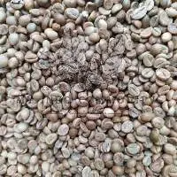 Robusta Green Coffee Grade 2