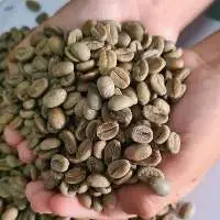 Robusta Green Coffee Random / Mix