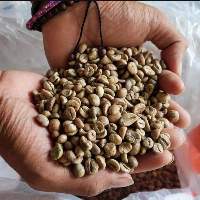 Robusta Green Coffee Low Grade / High Deffect