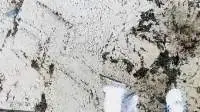 Azul White Granite