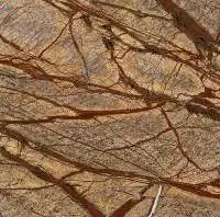 Rainforest Brown Marble