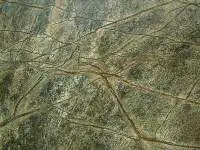 Rainforest Green Marble