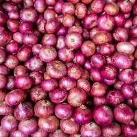 Onion