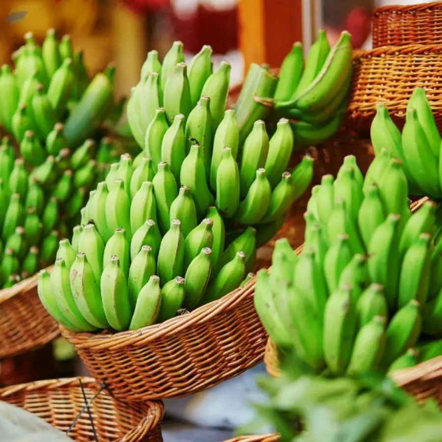 Banana
