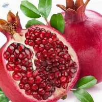 Pomegranate