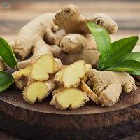 Ginger