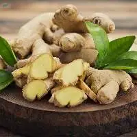 Ginger