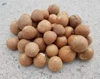 Split Betel Nut & Whole Betel Nut