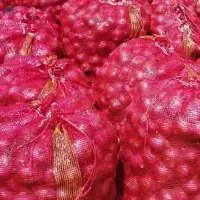 Fresh Onion