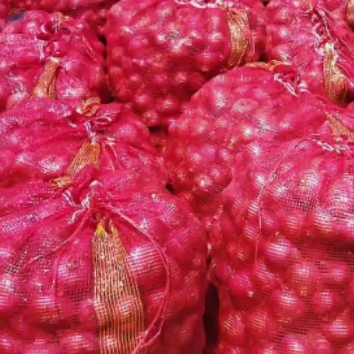 Fresh Onion