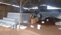 Coco Peat Low EC (Polybag/Box Sack)
