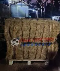 Coco Fiber