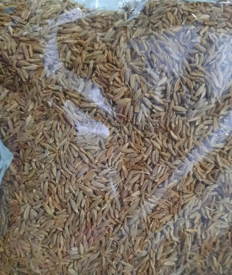 Singapore Cumin Seed