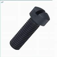 Fillister Screws